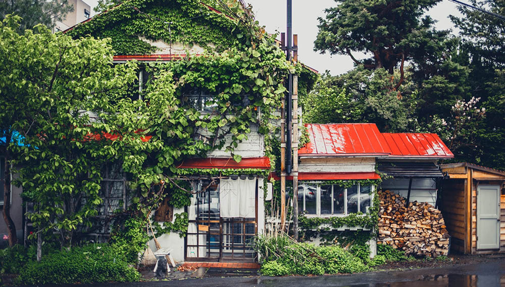 札幌的森彥咖啡本店外觀