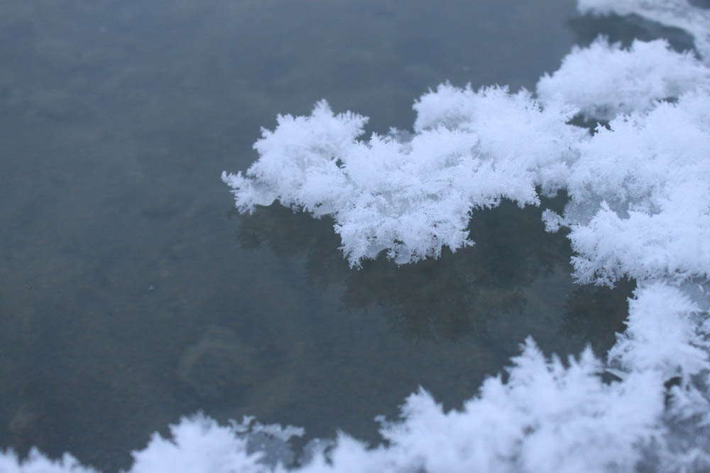 北海道阿寒湖冬天的霜花