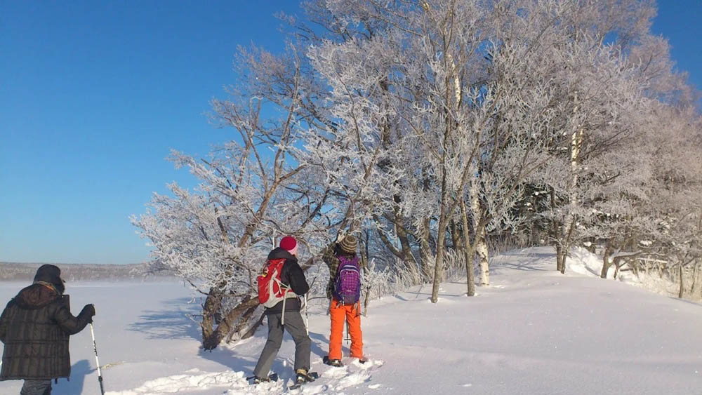 北海道阿寒湖冬天的健行行程