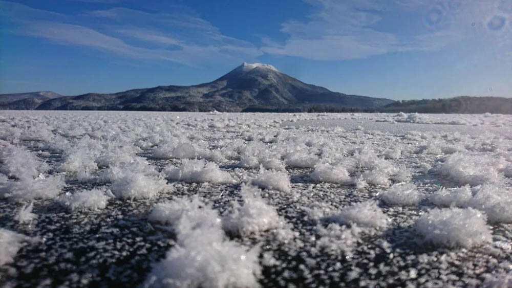 北海道阿寒湖冬天的霜花フロストフラワー