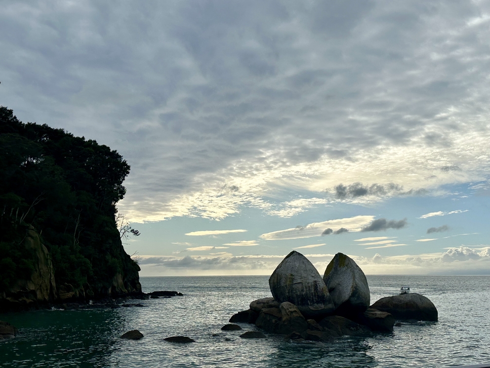 Wilsons Abel Tasman - The Great Day Out Tour