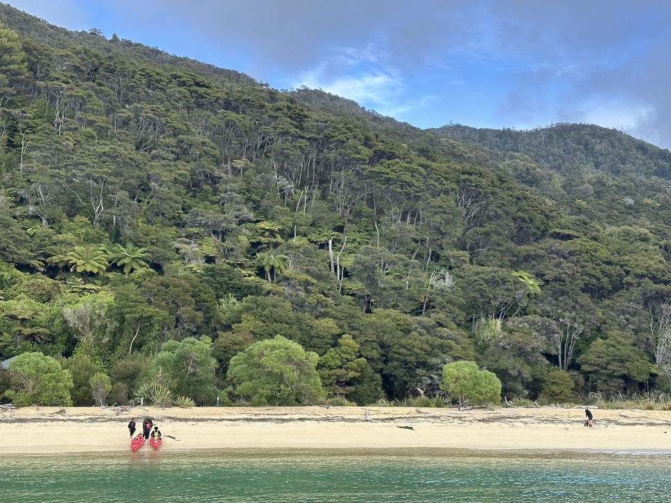 Wilsons Abel Tasman - The Great Day Out Tour