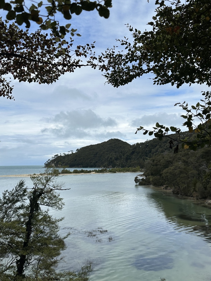 Wilsons Abel Tasman - The Great Day Out Tour