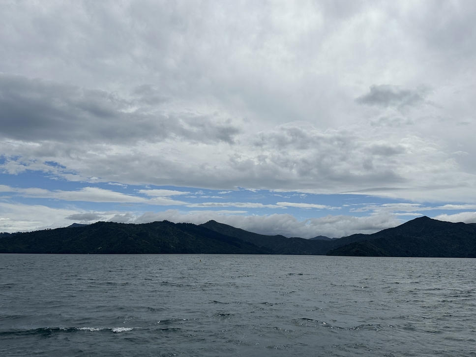 夏洛特女王峽灣 Queen Charlotte Sound